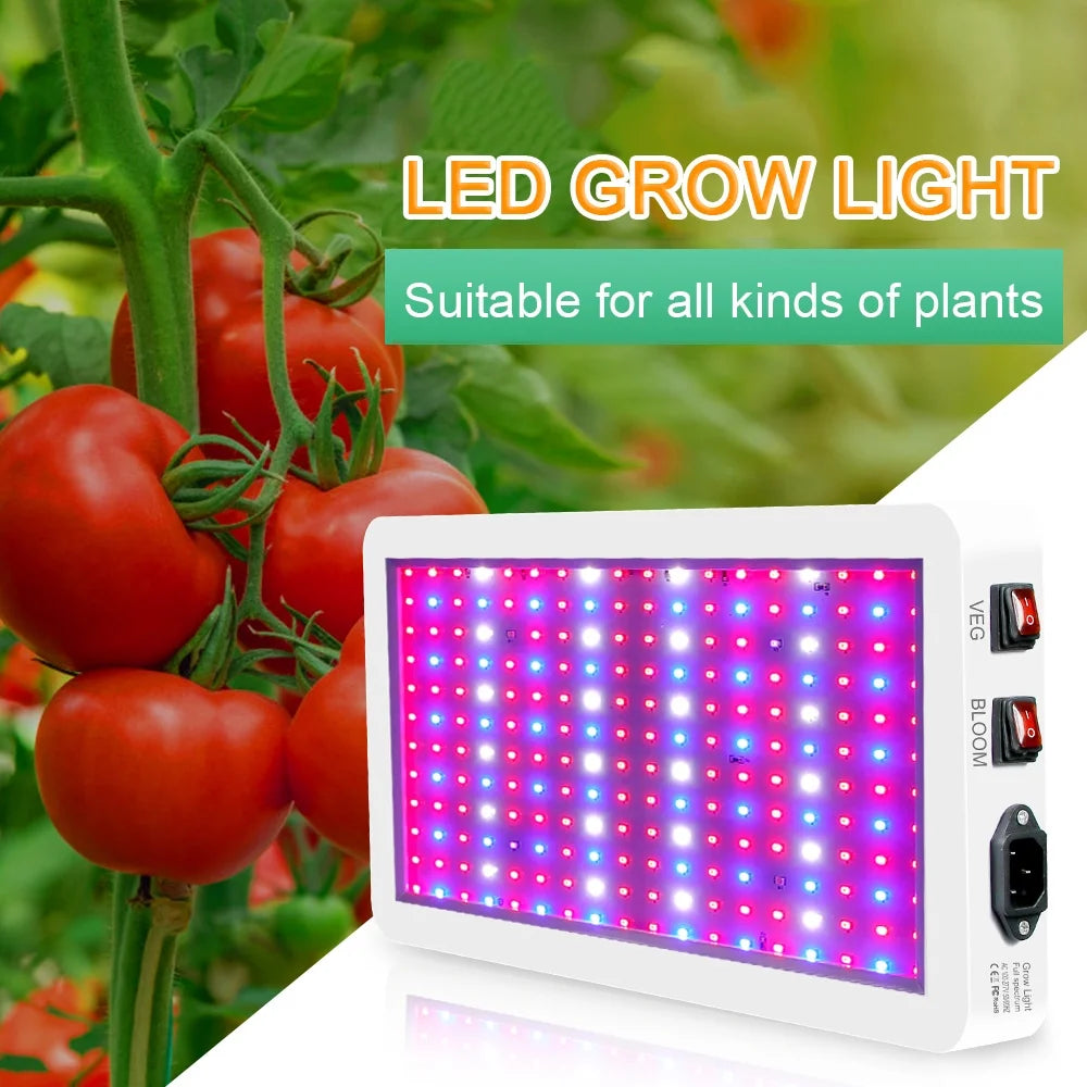 - Veg/Bloom 312 with Growing 2000W Seedlings, Plant Grow Flowers, IP65 Full Spectrum for Indoor Ideal Light Greenhouse Switch, Lamp LED with Waterproof, LEDs