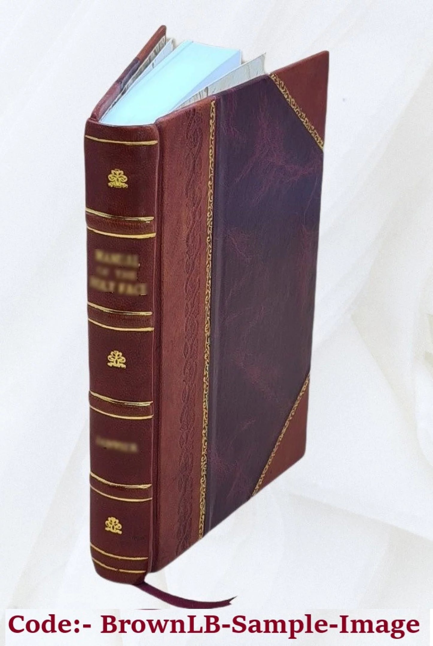 1876 Church, Christ Cochrane. Christian Bound] preached in Zion and [Leather 1875 William life / Brantford, [serm]ons by