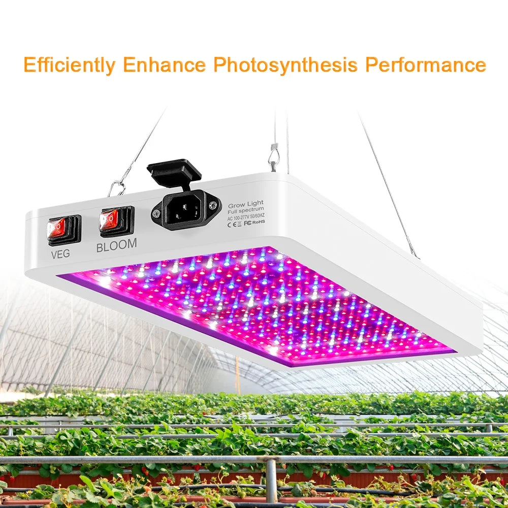 - Veg/Bloom 312 with Growing 2000W Seedlings, Plant Grow Flowers, IP65 Full Spectrum for Indoor Ideal Light Greenhouse Switch, Lamp LED with Waterproof, LEDs