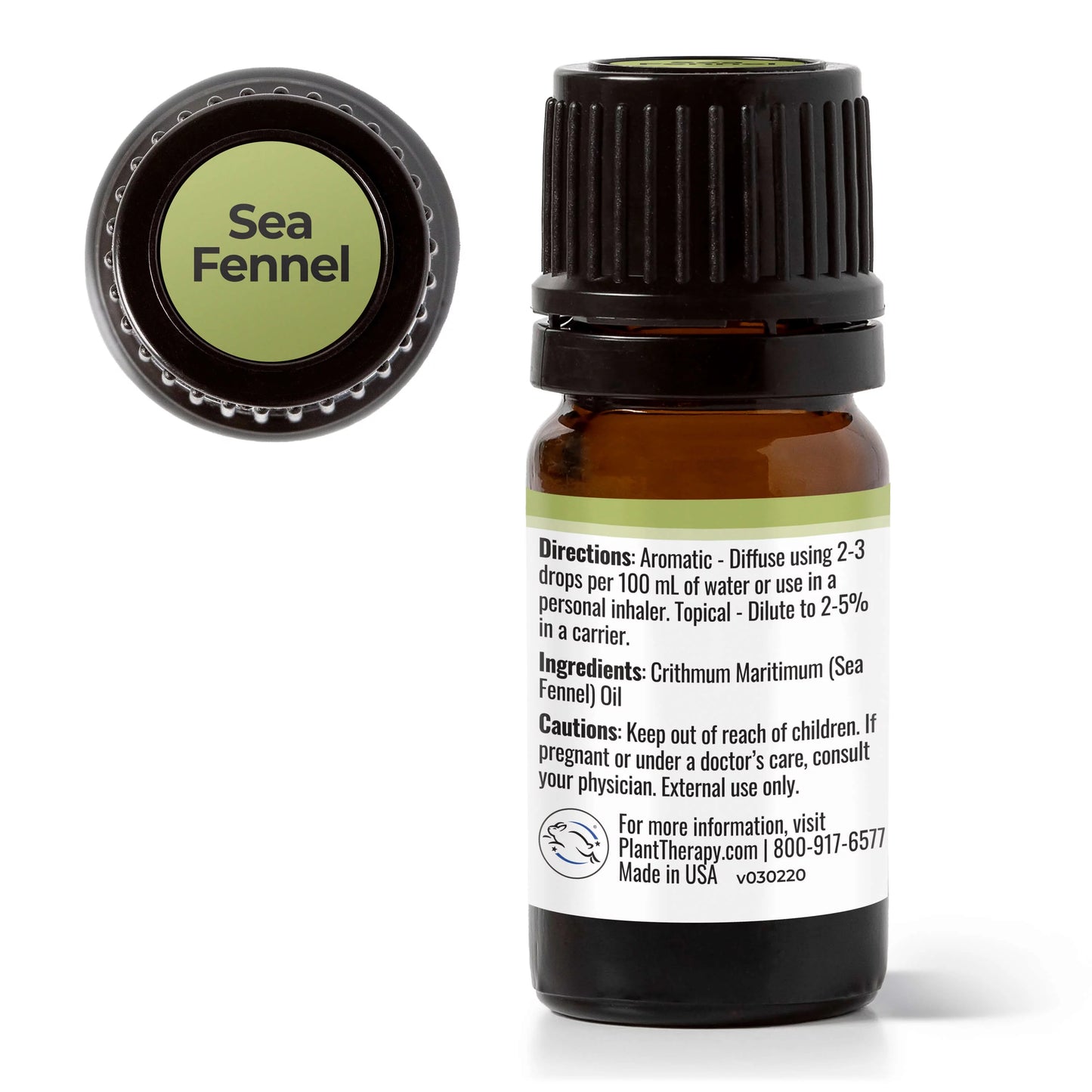 100% Sea Fennel Therapy oz) mL Essential Oil Pure, (1/6 Grade Therapeutic 5 Undiluted, Plant