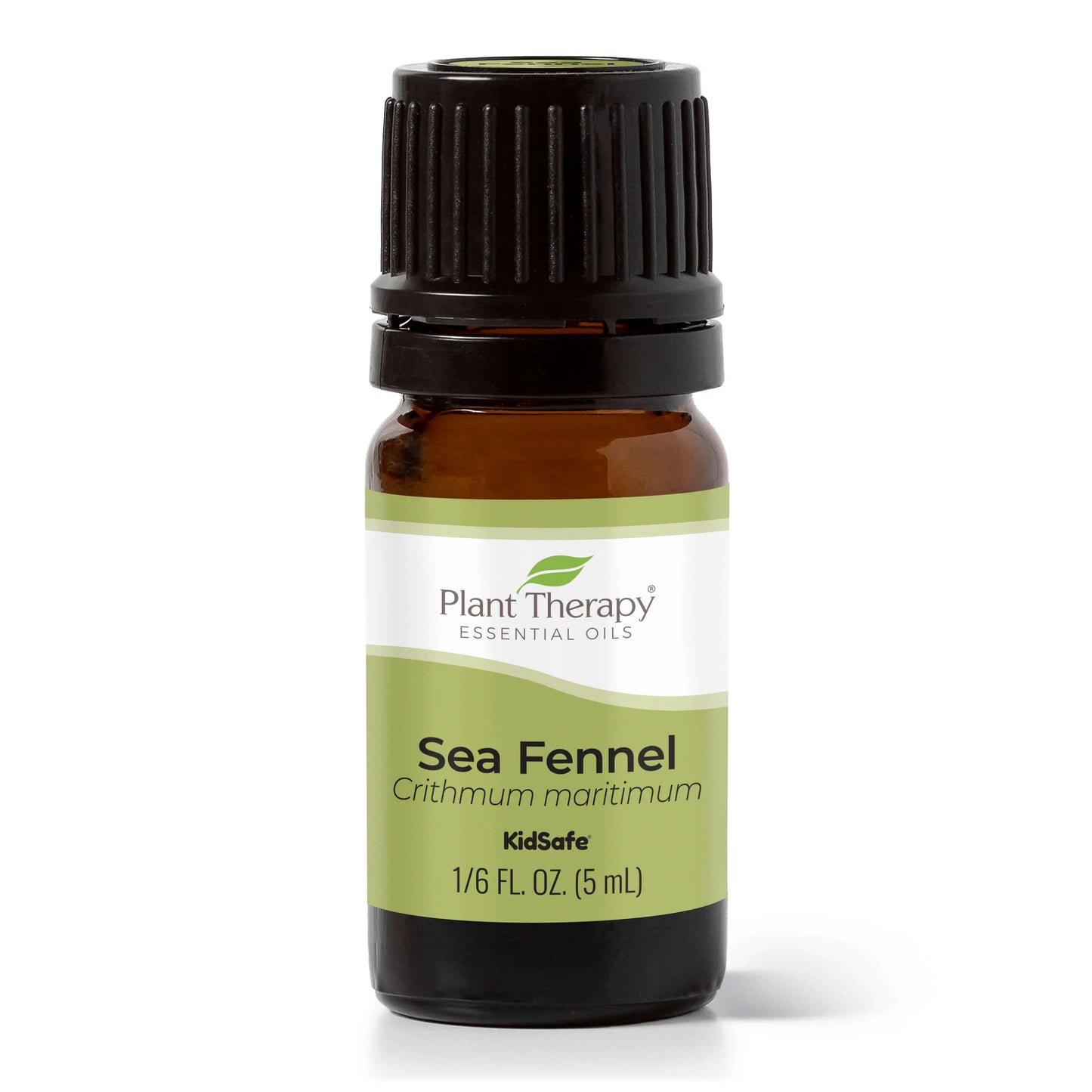 100% Sea Fennel Therapy oz) mL Essential Oil Pure, (1/6 Grade Therapeutic 5 Undiluted, Plant